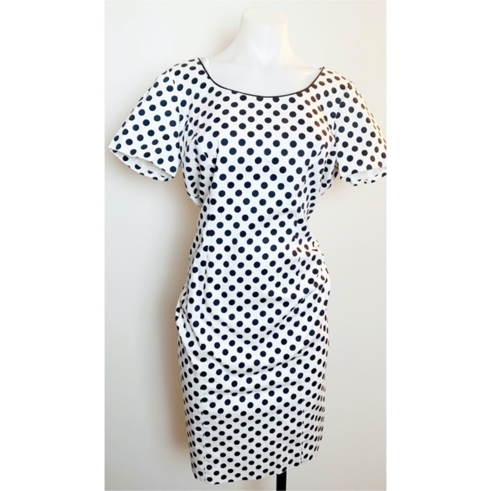 Preston & York Polka Dot Dress